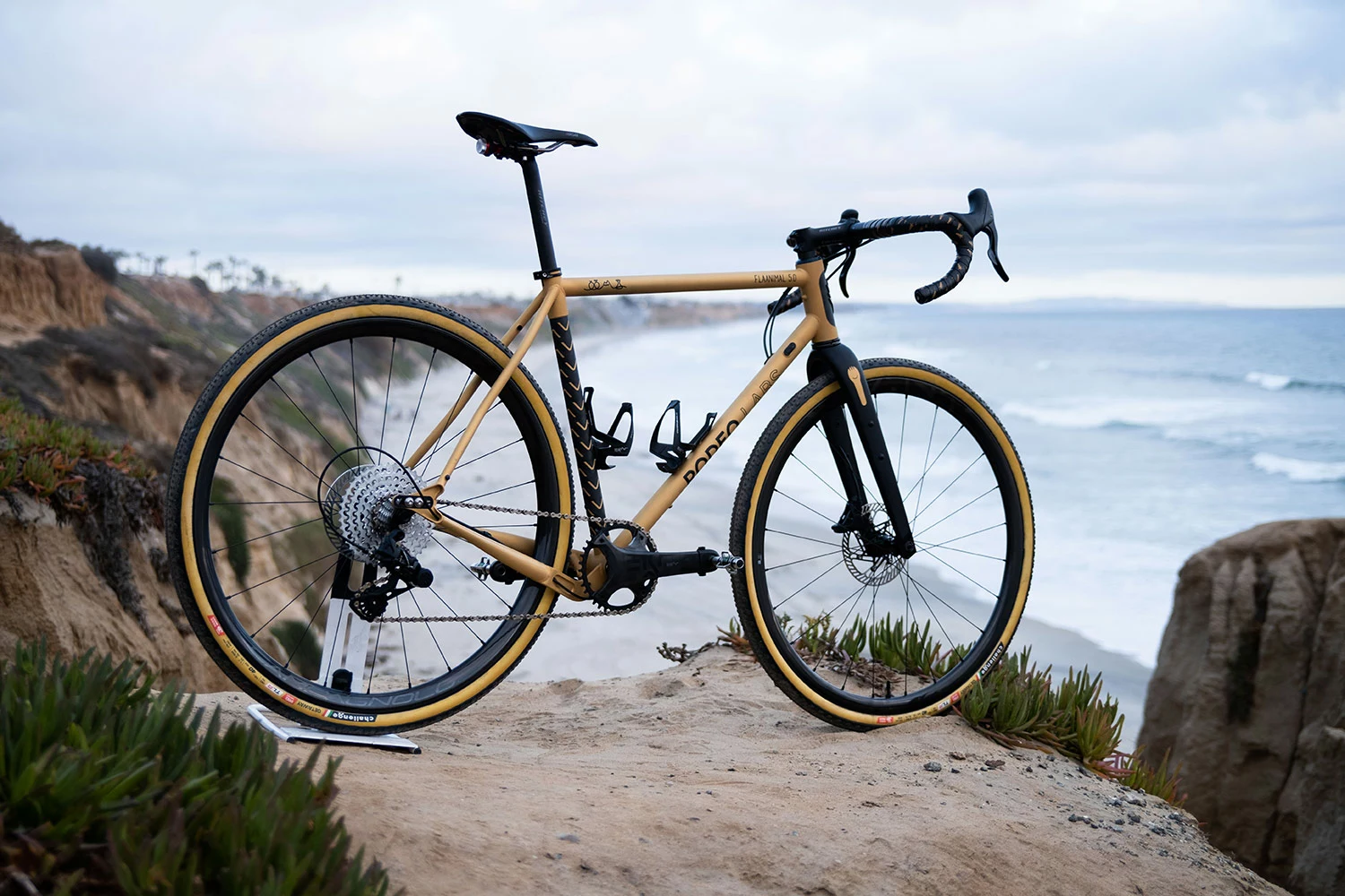 Cervelo Salg -Cervelo Salg LEVANTE GOLD 001 1