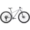 Specialized 2022 ROCKHOPPER EXPERT 29 – L