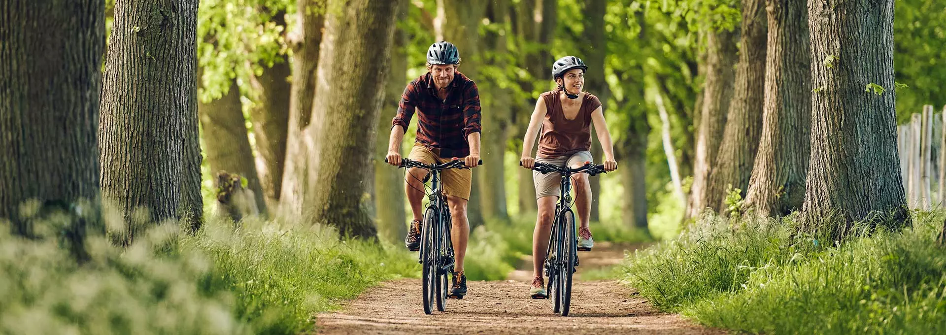 Cervelo Salg -Cervelo Salg trekking headbild l vsf fahrradmanufaktur